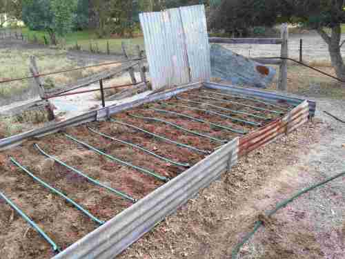 4th May - Bed dug over with manure and clay, ready to plant Garlic.