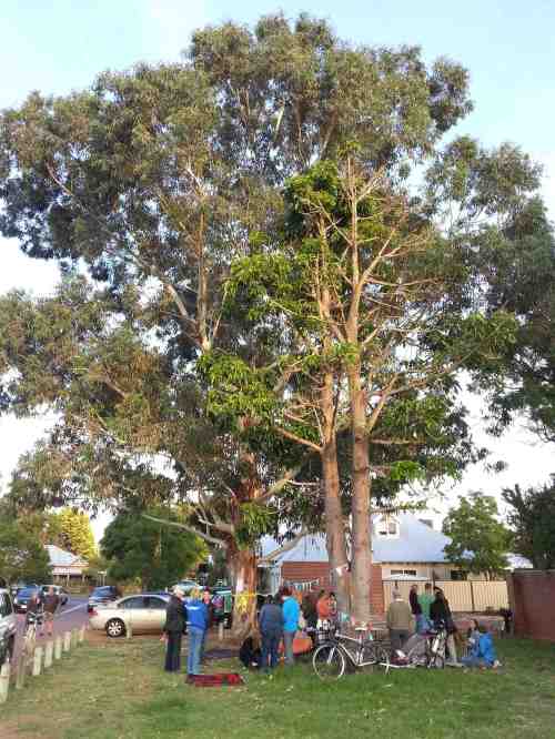 Local residents enjoy getting to know each other while taking a stand for public trees