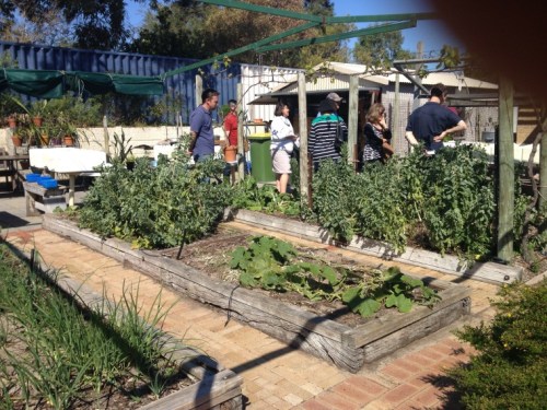 Vegetable garden beds Note structure and shade cloth at the end which can be pulled out in summer to provide a greenhouse shading plants during hot weather