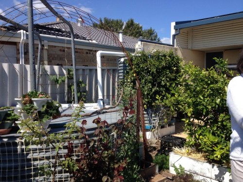 Two further rainwater tanks provide for garden and drinking water. Cleaner water for drinking is siphoned from the garden tanks after it has settled.